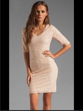 BCBG Max Azria Rose Sequin Dress ✨ NWOT ✨ Size S